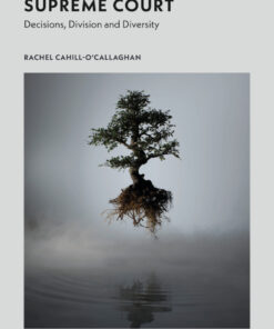 Values in the Supreme Court: Decisions, Division and Diversity eBook