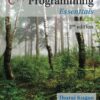 C++ Programming Essentials, 2nd Edition eBook