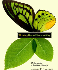 Thriving Beyond Sustainability: Pathways to a Resilient Society eBook
