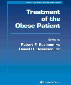 Treatment of the Obese Patient eBook
