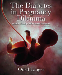The Diabetes in Pregnancy Dilemma: Leading Change with Proven Solutions eBook