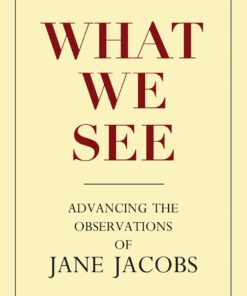 What We See: Advancing the Observations of Jane Jacobs eBook