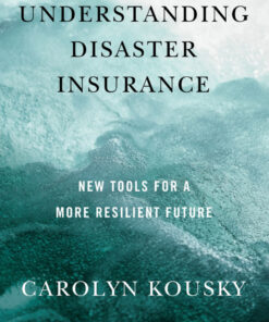 Understanding Disaster Insurance: New Tools for a More Resilient Future eBook