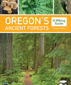 Oregon's Ancient Forests: A Hiking Guide eBook