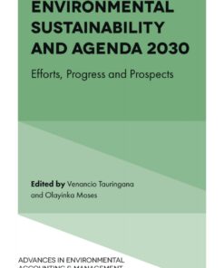 Environmental Sustainability and Agenda 2030: Efforts, Progress and Prospects eBook