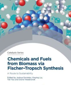 Chemicals and Fuels from Biomass via Fischer–Tropsch Synthesis: A Route to Sustainability eBook