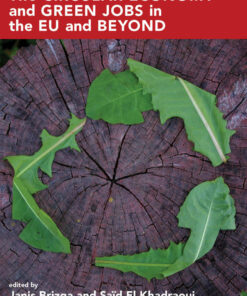 The Circular Economy and Green Jobs in the EU and Beyond eBook