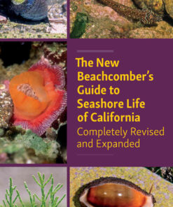 The New Beachcomber’s Guide to Seashore Life of California: Completely Revised and Expanded eBook