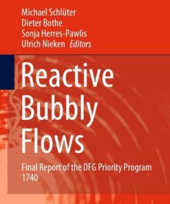 Reactive Bubbly Flows: Final Report of the DFG Priority Program 1740 eBook