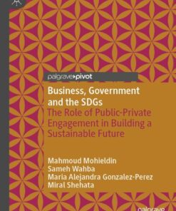 Business, Government and the SDGs: The Role of Public-Private Engagement in Building a Sustainable Future eBook