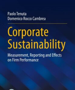 Corporate Sustainability: Measurement, Reporting and Effects on Firm Performance eBook