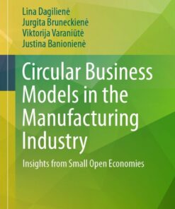 Circular Business Models in the Manufacturing Industry: Insights from Small Open Economies eBook