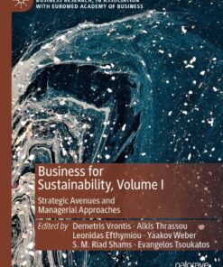 Business for Sustainability, Volume I: Strategic Avenues and Managerial Approaches eBook