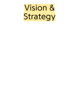 Vision & Strategy: Strategic Thinking for Creative and Social Entrepreneurs eBook
