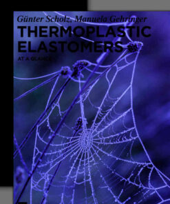 Thermoplastic Elastomers: At a Glance eBook