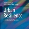 Urban Resilience: A Transformative Approach eBook