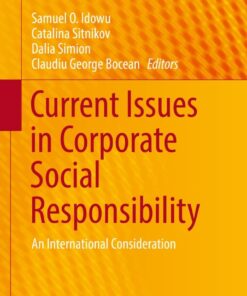 Current Issues in Corporate Social Responsibility: An International Consideration eBook