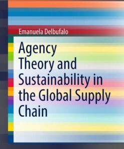 Agency Theory and Sustainability in the Global Supply Chain eBook