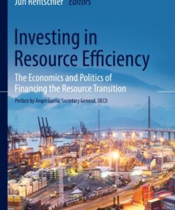 Investing in Resource Efficiency: The Economics and Politics of Financing the Resource Transition eBook