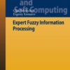 Expert Fuzzy Information Processing eBook