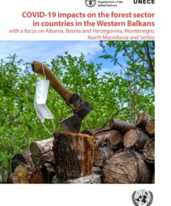 Covid-19 Impacts on the Forest Sector in Countries in the Western Balkans: With a focus on Albania, Bosnia and Herzegovina, Montenegro, North Macedonia and Serbia eBook