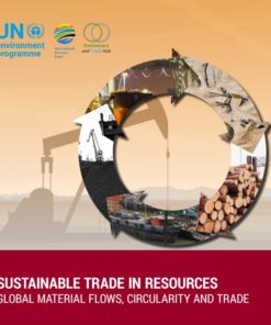 Sustainable Trade in Resources: Global Material Flows, Circularity and Trade eBook