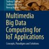 Multimedia Big Data Computing for IoT Applications: Concepts, Paradigms and Solutions eBook