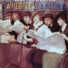 A People and a Nation: A History of the United States, Brief 10th Edition eBook