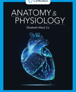 Anatomy & Physiology, 1st Edition eBook