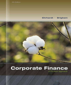 Corporate Finance: A Focused Approach, 5th Edition eBook