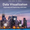 Data Visualization: Exploring and Explaining with Data, 1st Edition eBook