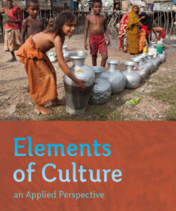 Elements of Culture: An Applied Perspective, 1st Edition eBook
