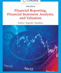 Financial Reporting, Financial Statement Analysis and Valuation, 10th Edition eBook