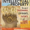 Intellectual Property: The Law of Trademarks, Copyrights, Patents, and Trade Secrets, 5th Edition eBook
