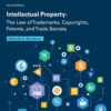 Intellectual Property: The Law of Trademarks, Copyrights, Patents, and Trade Secrets, 6th Edition eBook