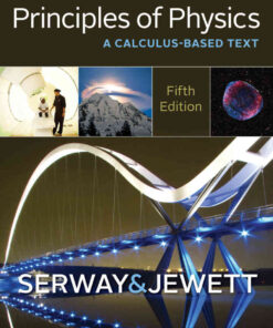 Principles of Physics: A Calculus-Based Text, 5th Edition eBook