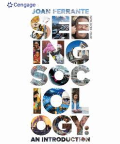 Seeing Sociology: An Introduction, 3rd Edition eBook