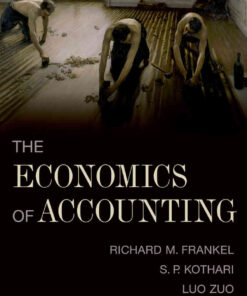 The Economics of Accounting, 1st Edition eBook