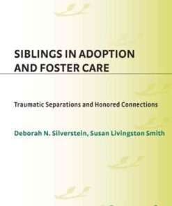 Siblings in Adoption and Foster Care: Traumatic Separations and Honored Connections eBook
