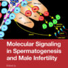 Molecular Signaling in Spermatogenesis and Male Infertility eBook