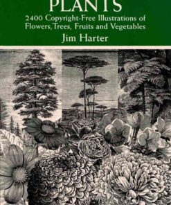 Plants: 2,400 Royalty-Free Illustrations of Flowers, Trees, Fruits and Vegetables eBook