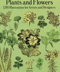 Plants and Flowers: 1761 Illustrations for Artists and Designers eBook