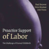 Proactive Support of Labor: The Challenge of Normal Childbirth eBook