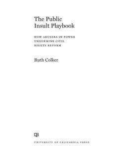 The Public Insult Playbook: How Abusers in Power Undermine Civil Rights Reform eBook