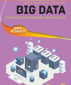 Big Data: Concepts, Warehousing, and Analytics eBook