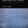 Working with Sound: The Future of Audio Work in Interactive Entertainment eBook