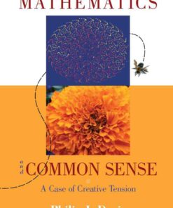 Mathematics & Common Sense: A Case of Creative Tension eBook