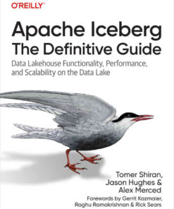 Apache Iceberg: The Definitive Guide, 1st Edition eBook