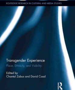 Transgender Experience: Place, Ethnicity, and Visibility eBook