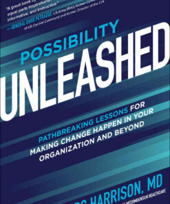 Possibility Unleashed: Pathbreaking Lessons for Making Change Happen in Your Organization and Beyond eBook